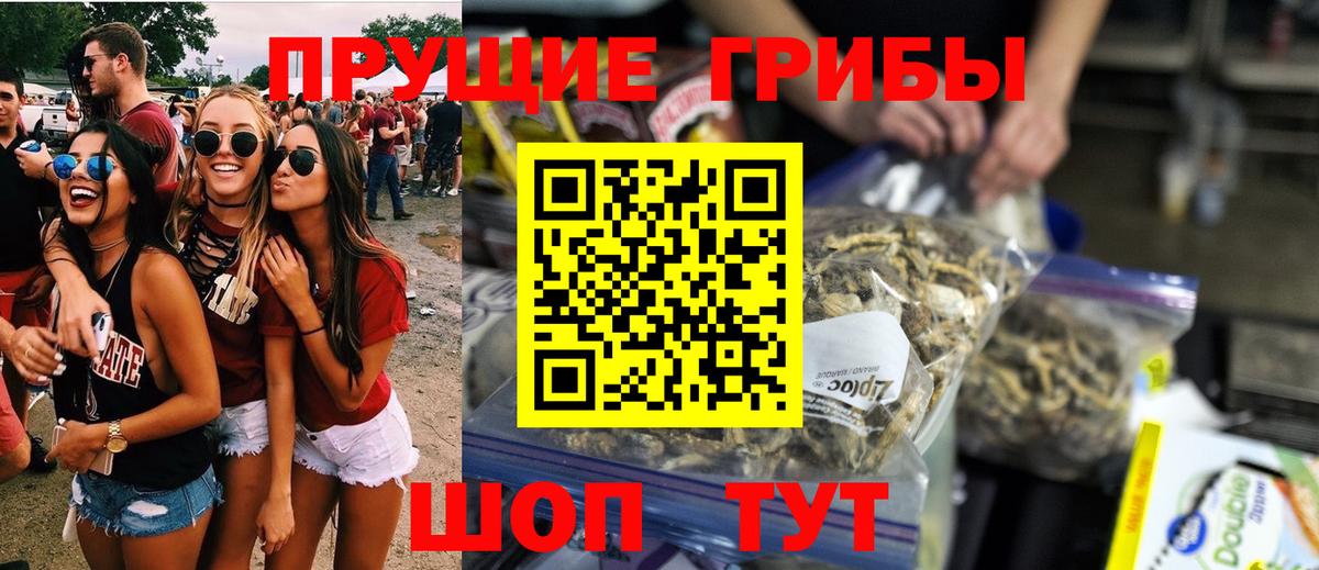Псилоцибиновые грибы мухоморы  Вход с VPN  Коркино  Псилоцибиновые грибы мухоморы 
