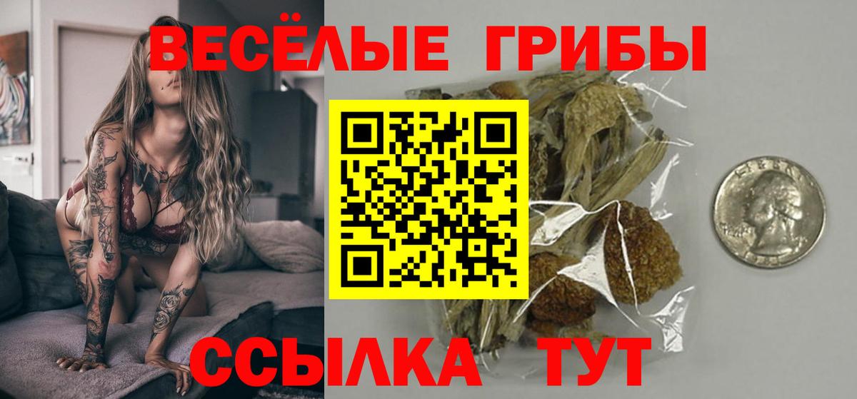 Галлюциногенные грибы мицелий Коркино